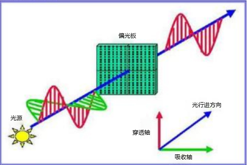 Tn Lcd的基本结构 尊正资讯