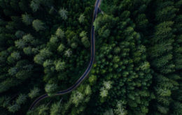 Documentary Trends: Using Aerial B-Roll to Help Tell Your Story