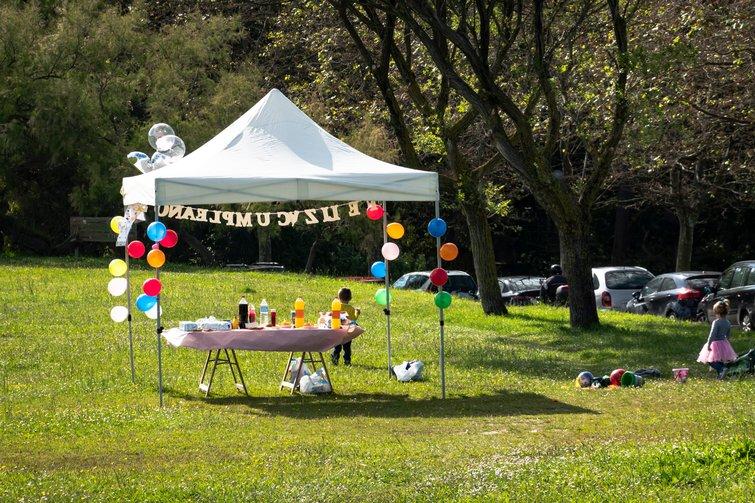 Canopy Tent