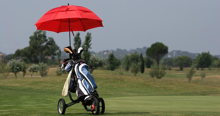 Cart Umbrella