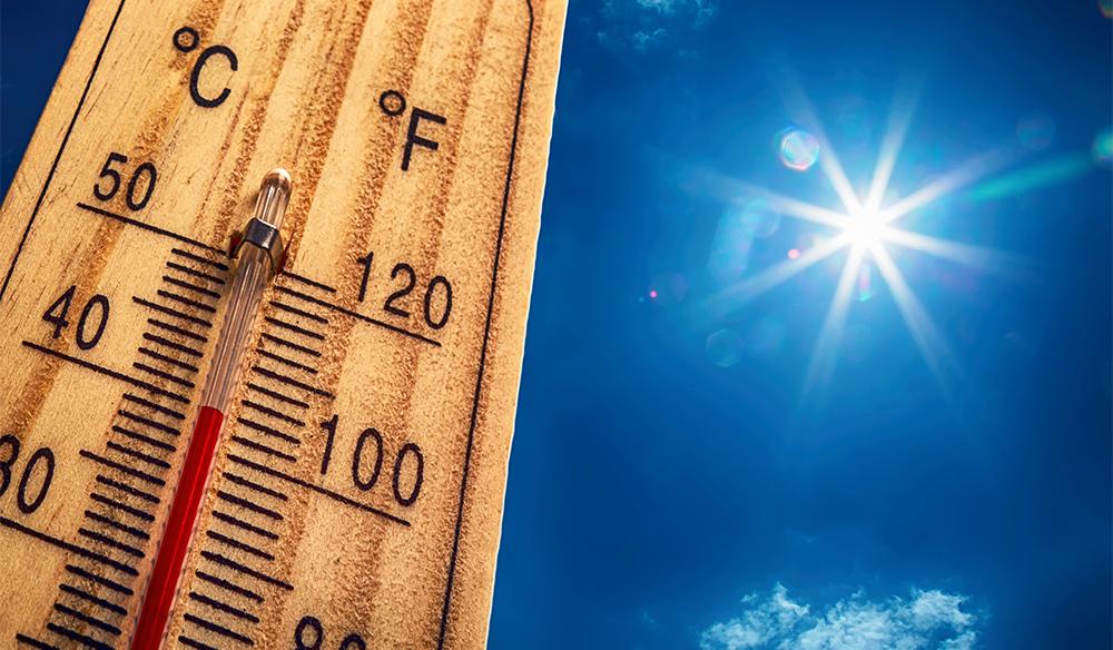 Tips for Keeping Your Camera Cool on a Hot Summer's Day