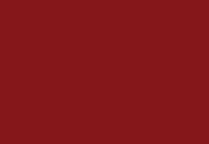 HEX Code #860111 - Devil Red