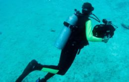 3966138b-a637-48a3-a04a-6dbb7ac76da5