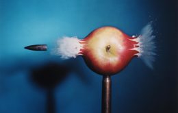 2010.001.008_website