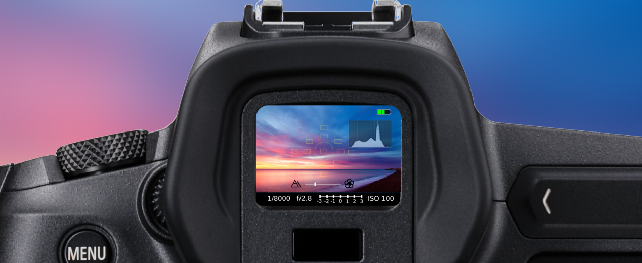 https://www.digidirect.com.au/media/blogs/19_02_FEB/mirrorless_vs_DSLR/electronic_viewfinder.png
