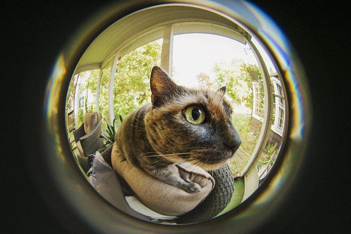 https://s3.amazonaws.com/media.ai-ap.com/dam/cropped/2016/10/05/_dsc0001-ps2sh-huesat-boo-fisheye_k0QmmCG.jpg