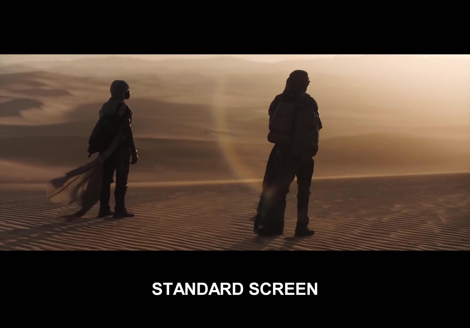 沙丘标准屏幕版