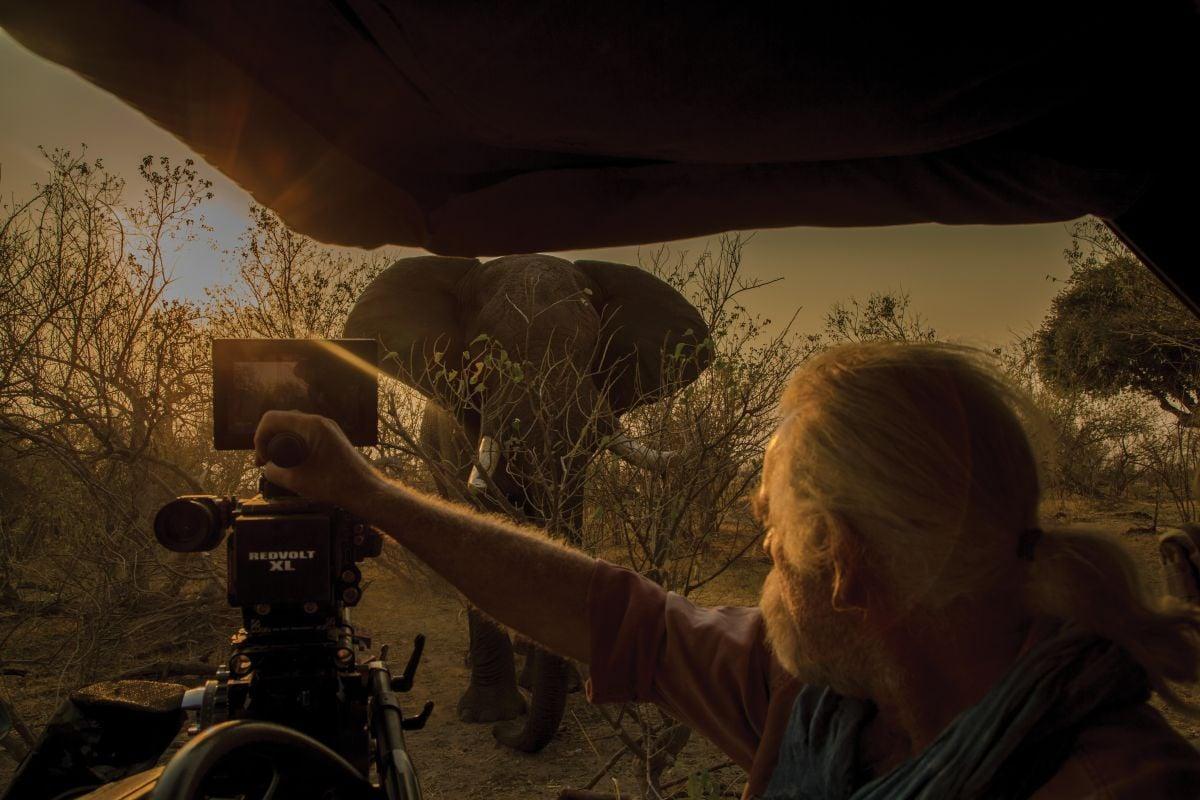 Dereck Joubert (Image courtesy of Wildlife Films)
