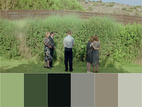 dogtooth