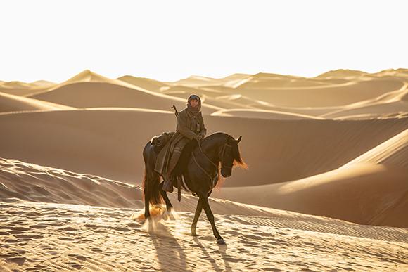 MIDesert