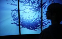 Museum Technology: 7 Examples of Next-Gen Exhibition Design