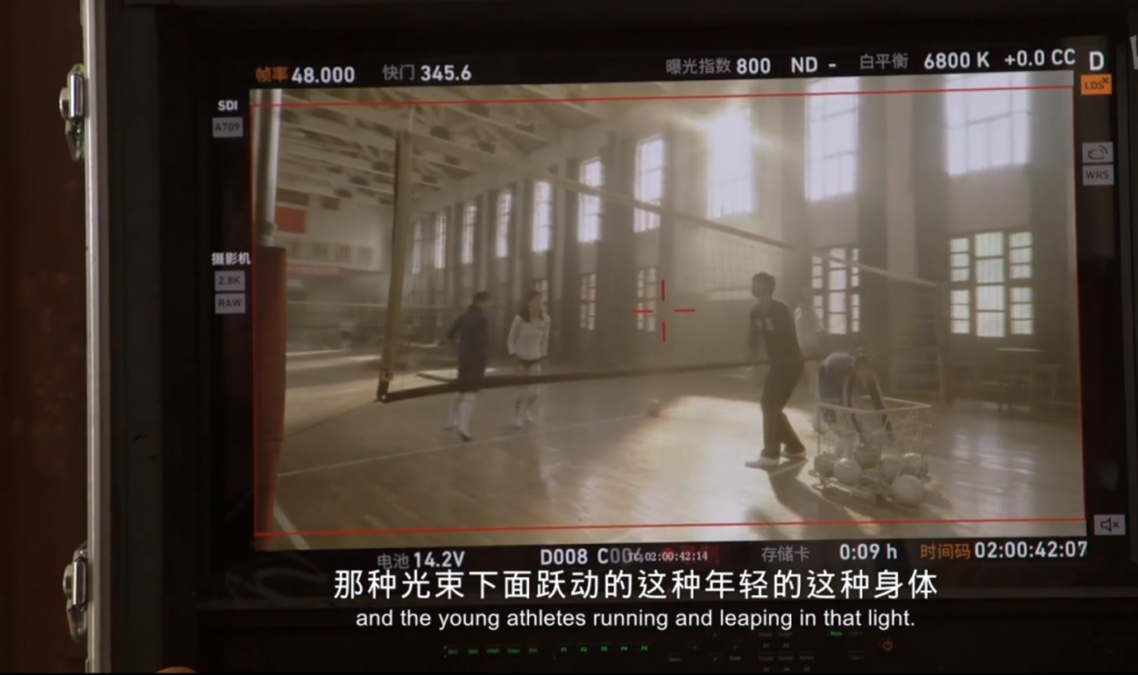 影视色彩管理专家,尊正监视器