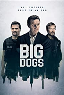 影视色彩管理专家，尊正监视器